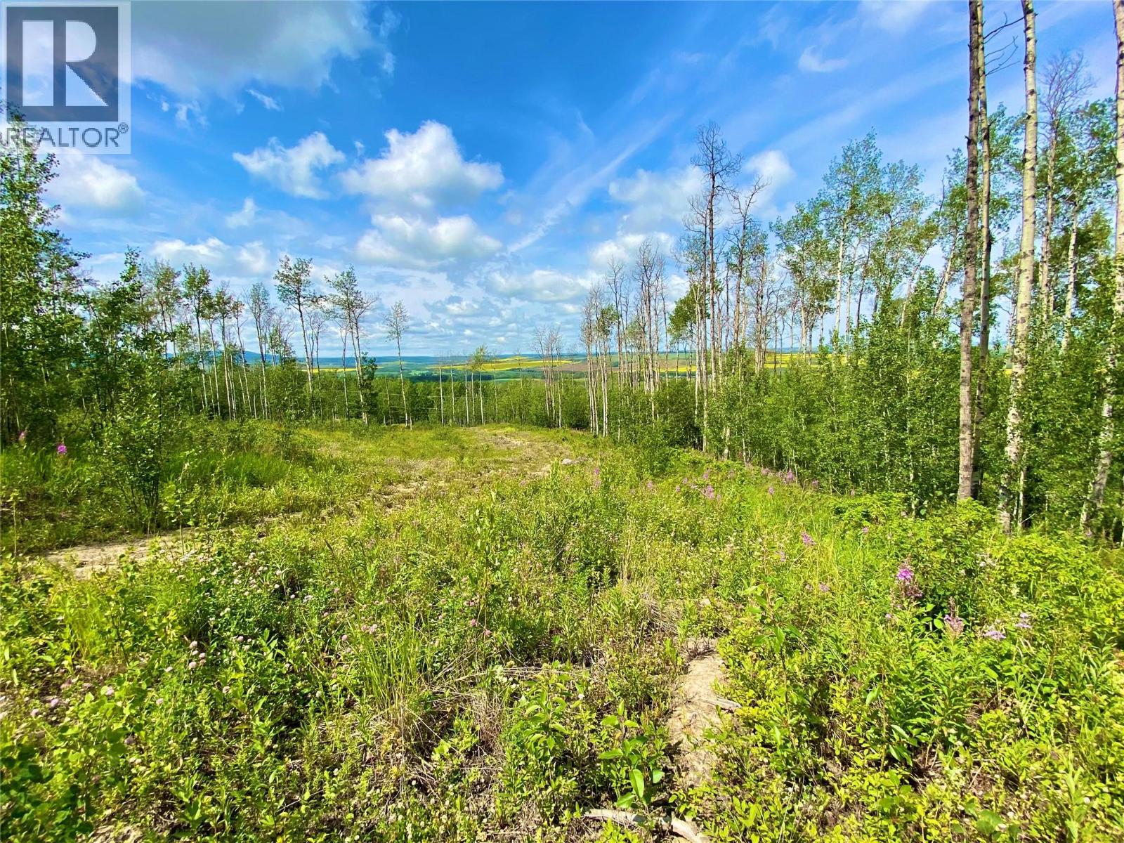 13062 Prince Subdivision