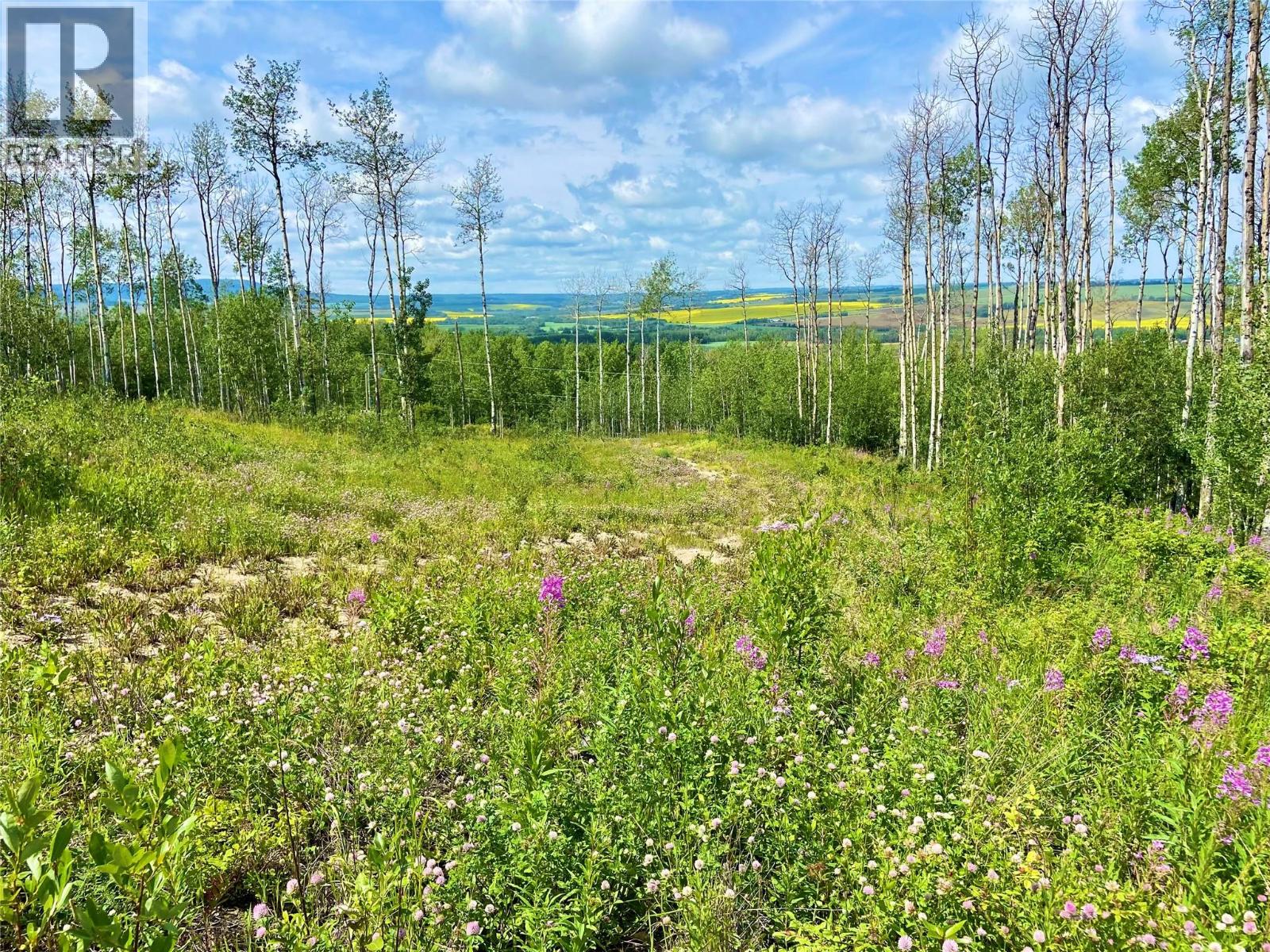 13062 Prince Subdivision