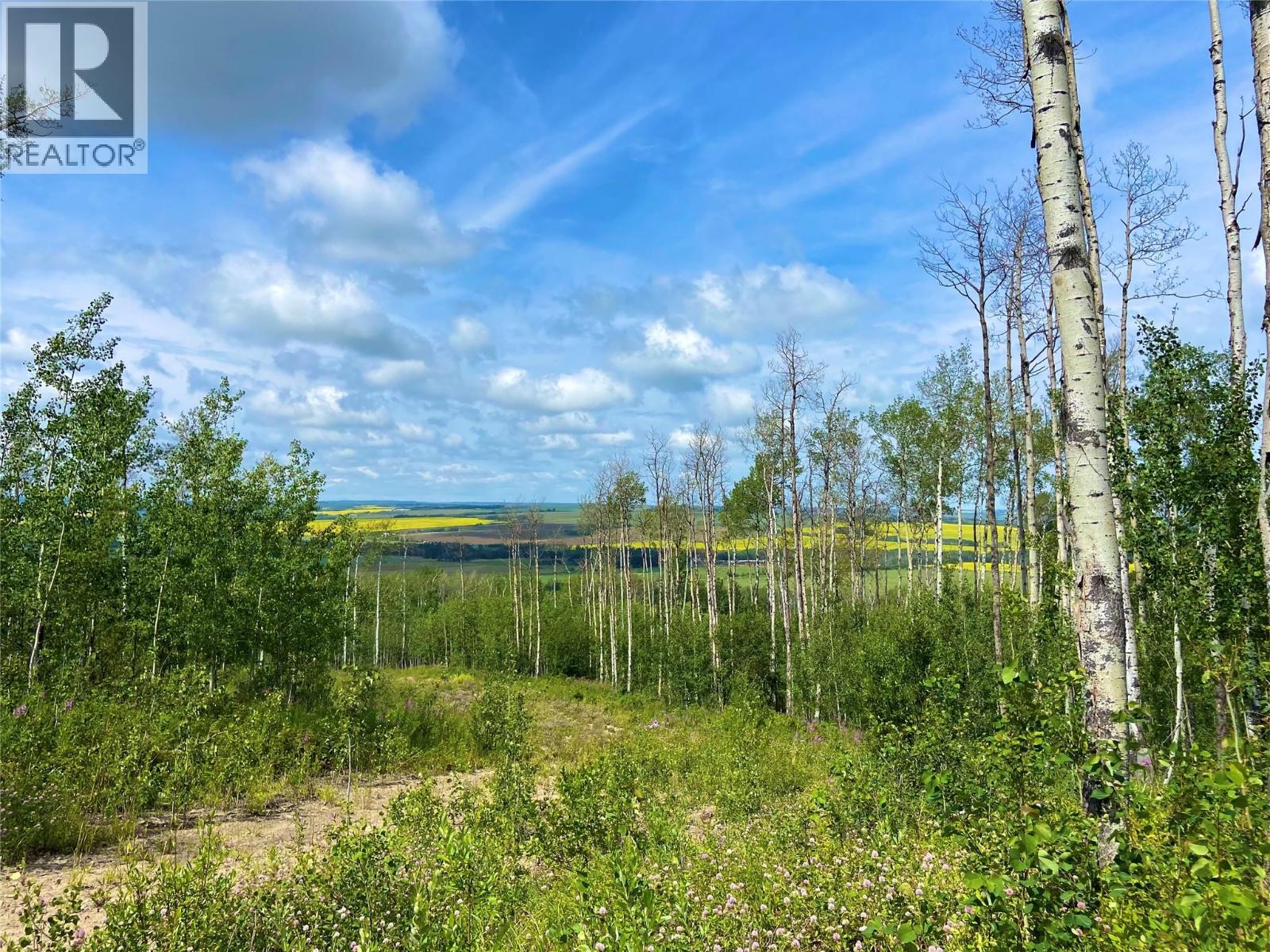 13062 Prince Subdivision