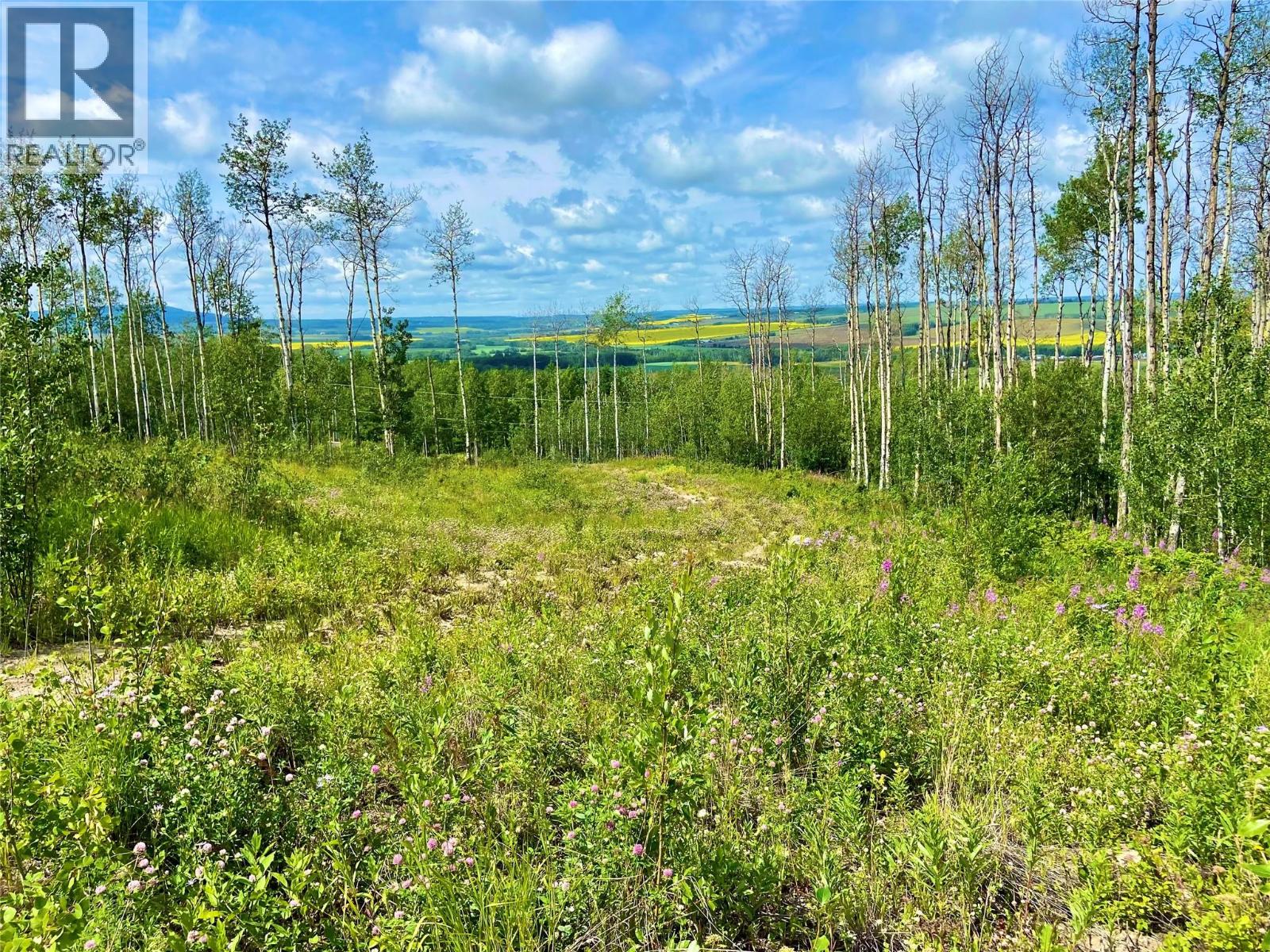 13062 Prince Subdivision