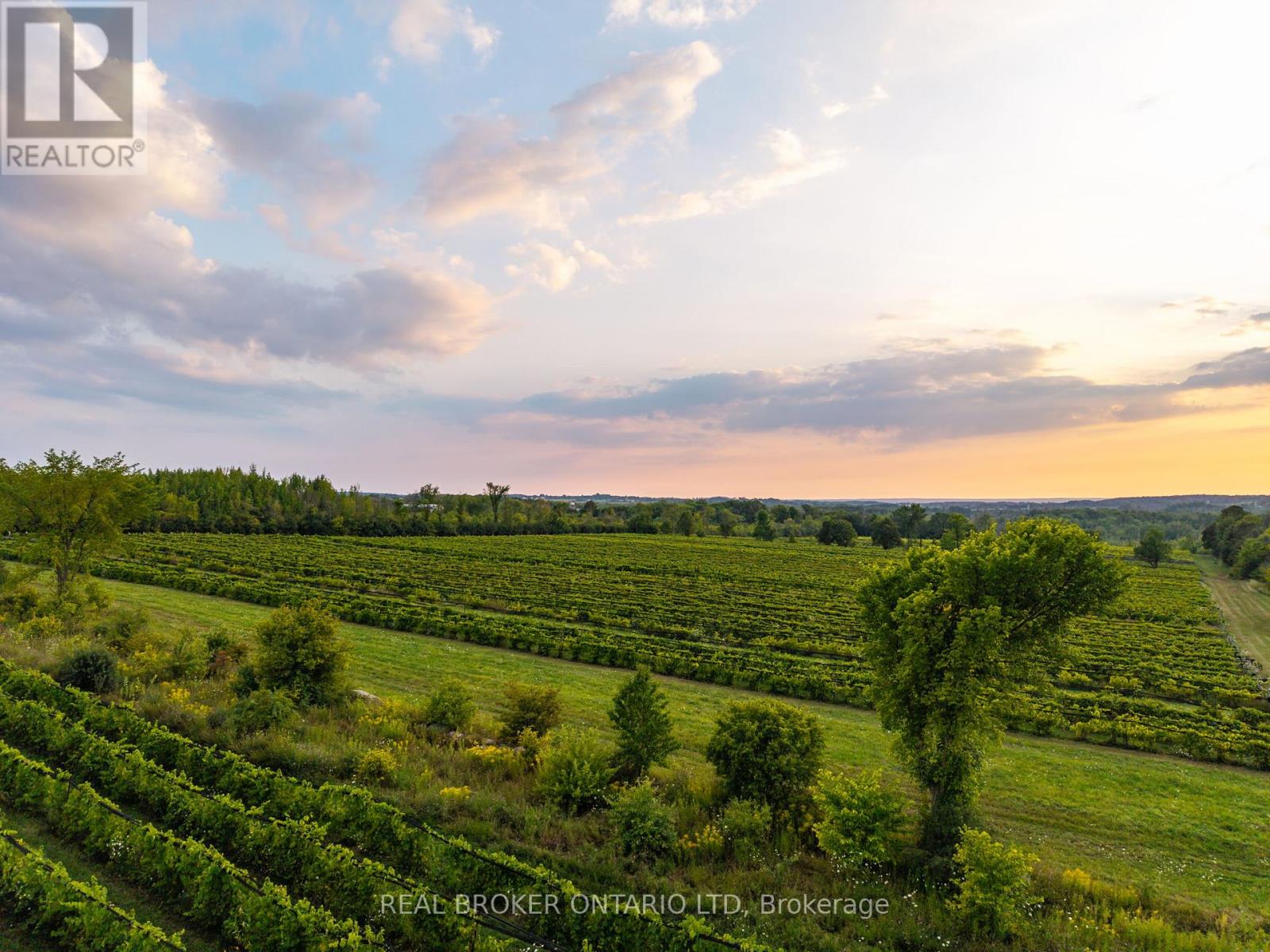 599450 2ND CONCESSION N