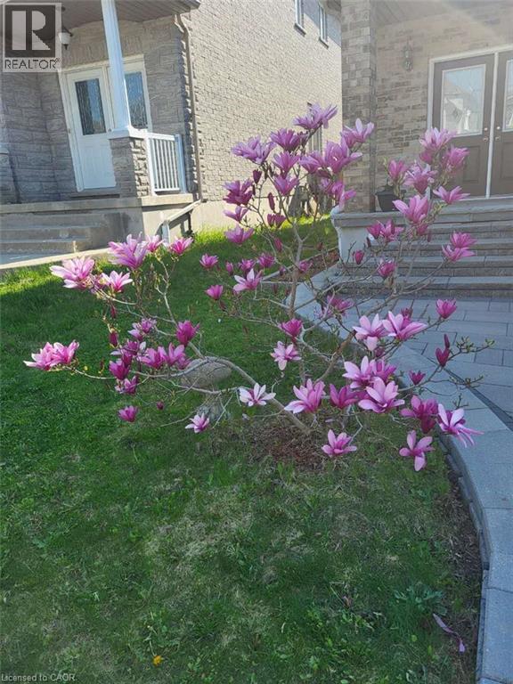 609 WOOLGRASS Avenue