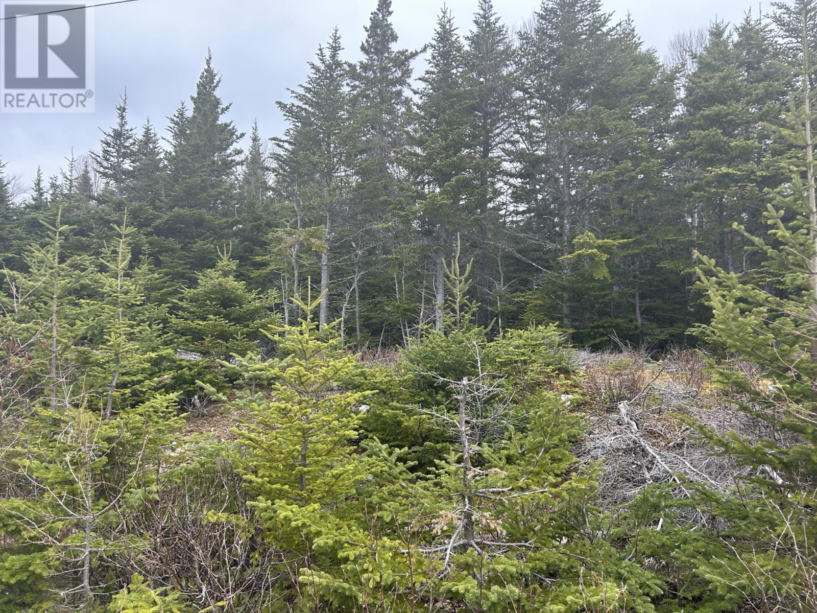 Lot # 04 Quarry Road - Photo 2