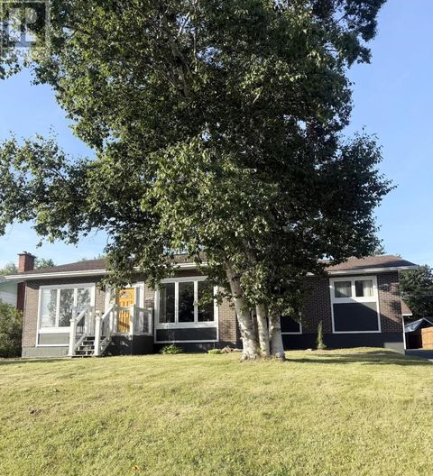 60 Cormack Drive CLarenville NF A5A1C6