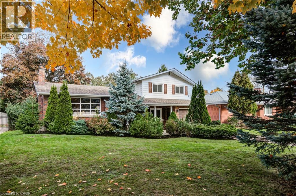 55 ALTADORE Crescent