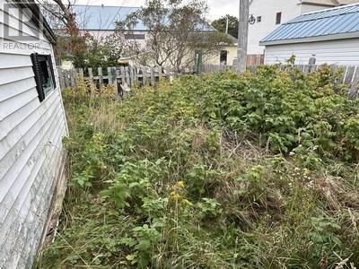 13A LeMarchant Street