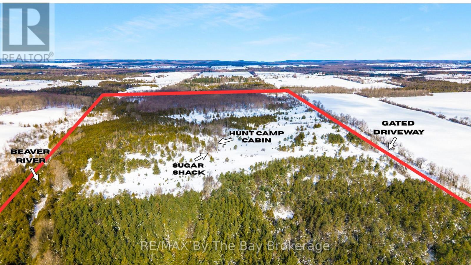 353814 OSPREY ARTEMESIA TOWNLINE