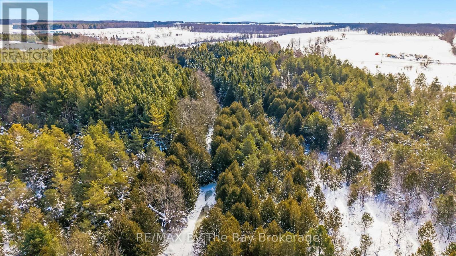 353814 OSPREY ARTEMESIA TOWNLINE