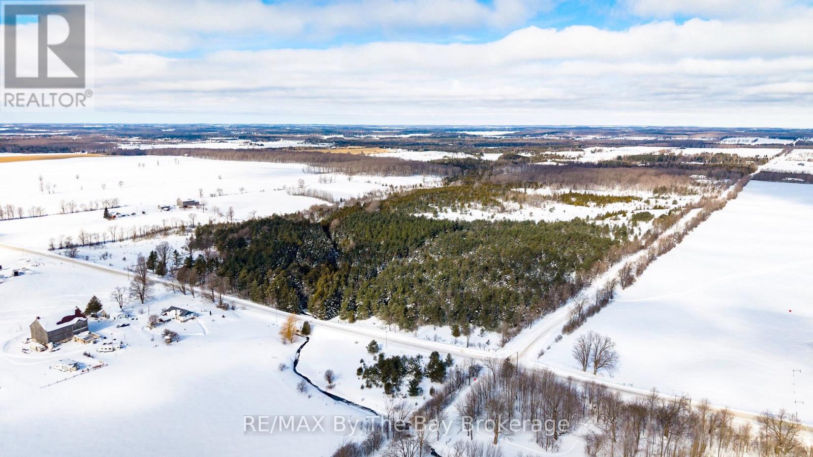 353814 OSPREY ARTEMESIA TOWNLINE