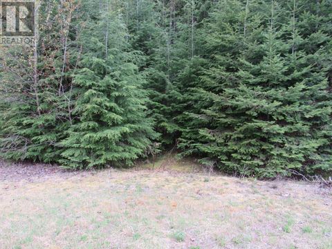 Lot B 3 Highway Salmo BC V0G1Z0