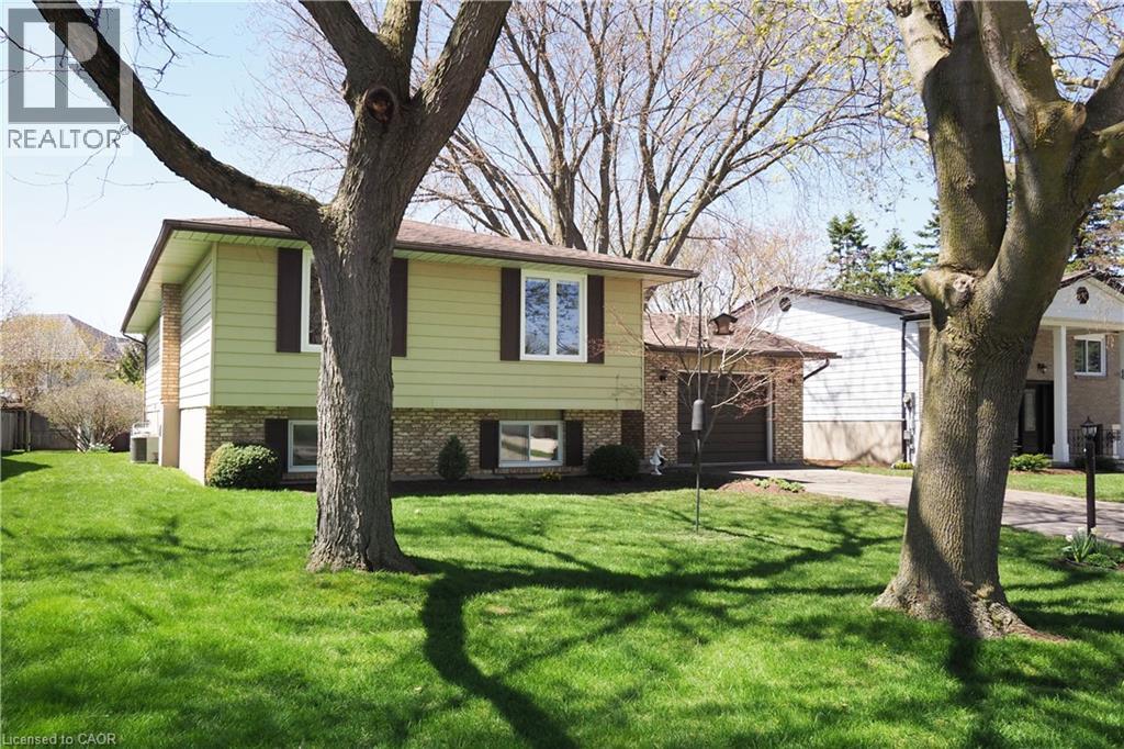 35 REINER Crescent
