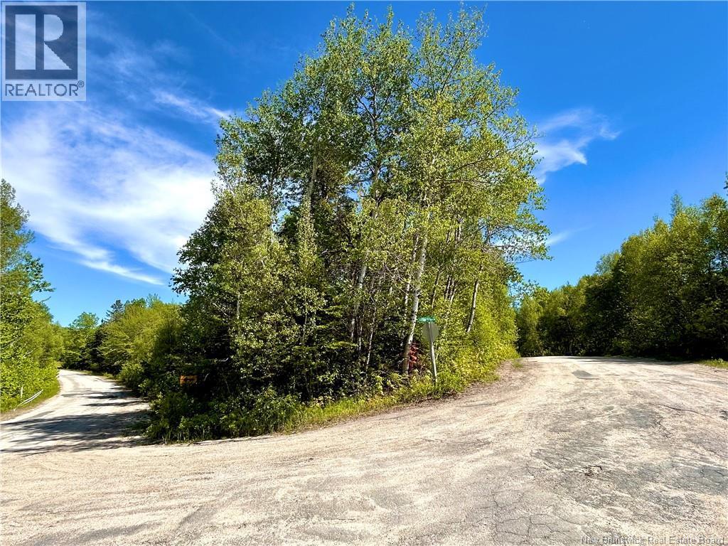 Photo 1 of 4 — 2.87 Acres Portage River Road, Baie-Sainte-Anne, NB E9A1G6