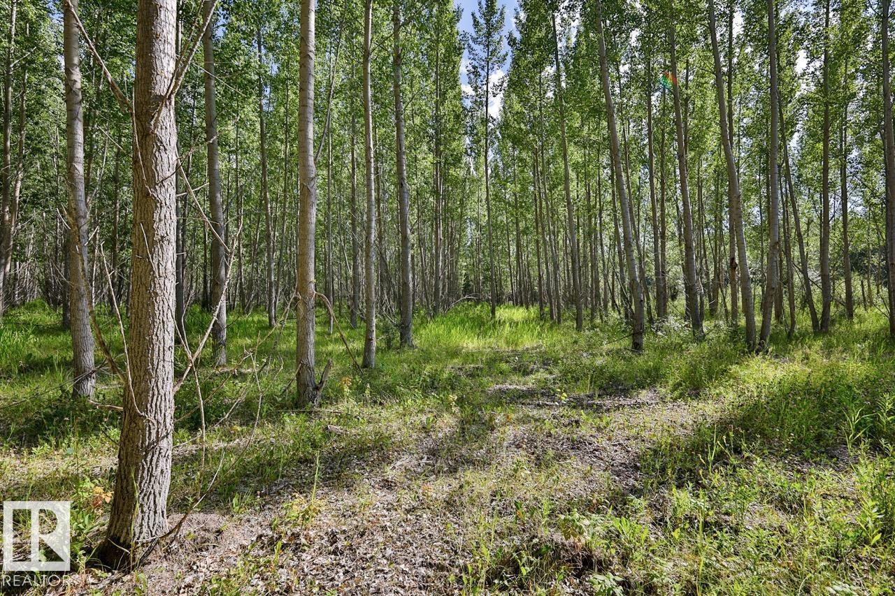 RGE RD 24 TWP RD 562
