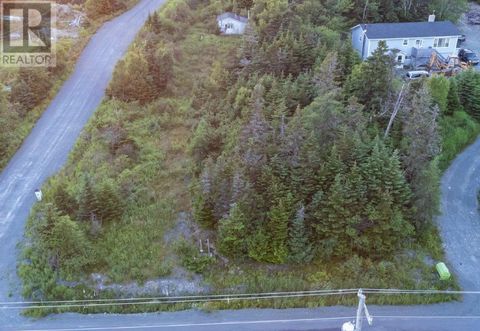638 Indian Meal Line Portugal Cove-St. Philips NF A1M3E7