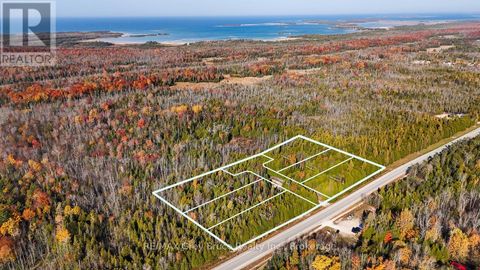 PART LOT 37 CON D SAUBLE FALLS PARKWAY South Bruce Peninsula ON N0H2G0