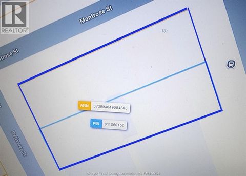 1311 & 1319 OUELLETTE Windsor ON N8X1J6