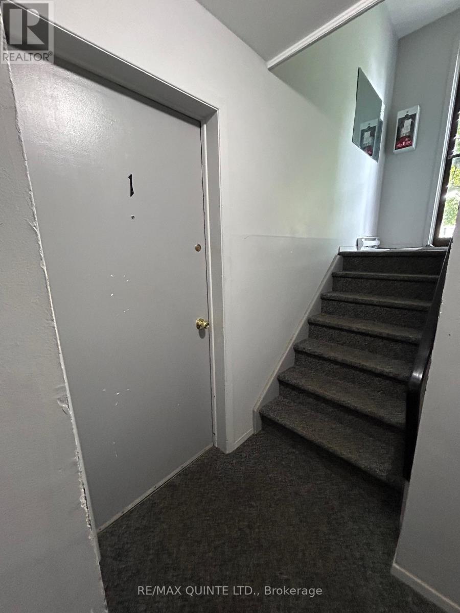 1 - 29 MCNICHOL AVENUE