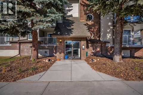 307, 110 20 Avenue NE Calgary AB T2E1P7
