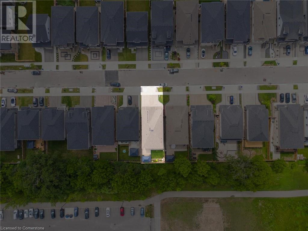 49 SCOTS PINE Trail