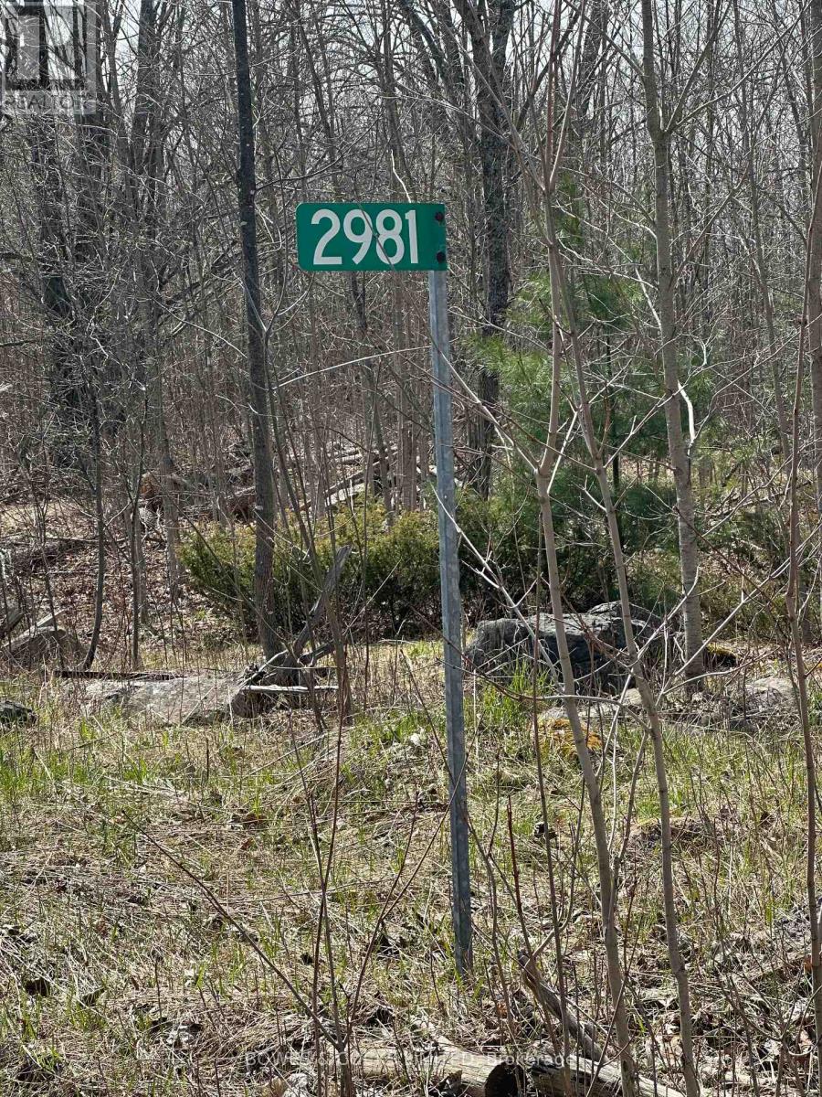 2981 COUNTY ROAD 44