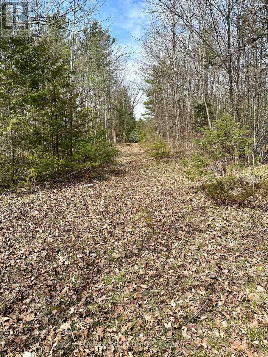 2981 COUNTY ROAD 44