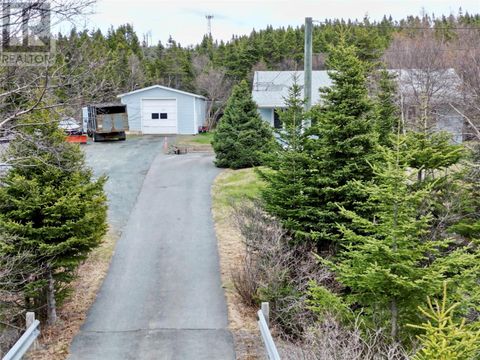 394 St. Thomas Line Paradise NF A1L3P6