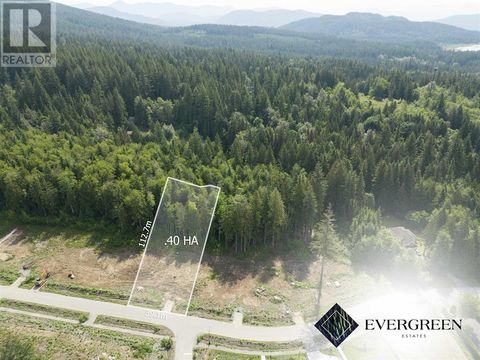 12462 271 STREET Maple Ridge BC V2W1C2