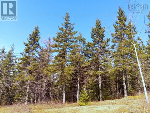 13 Jonny Cash Lane Juniper Mountain NS B1K0C2
