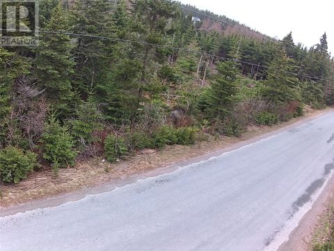 56 Ridge Road Holyrood NF A0A2R0
