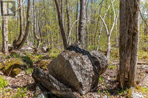 1030 BIRCHVIEW ROAD Douro-Dummer ON K0L2H0