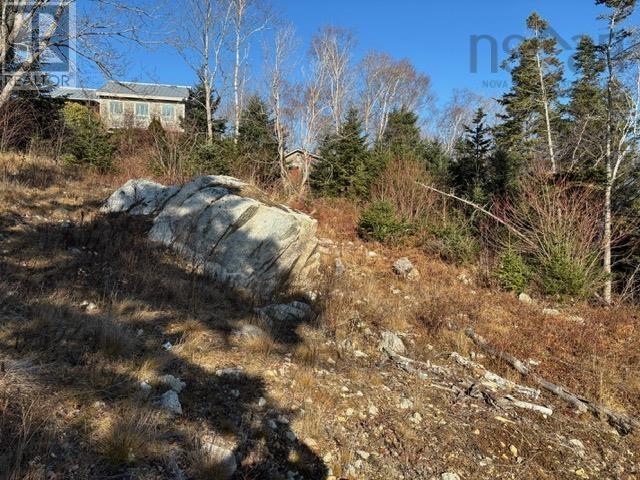 7 4431A Prospect Road