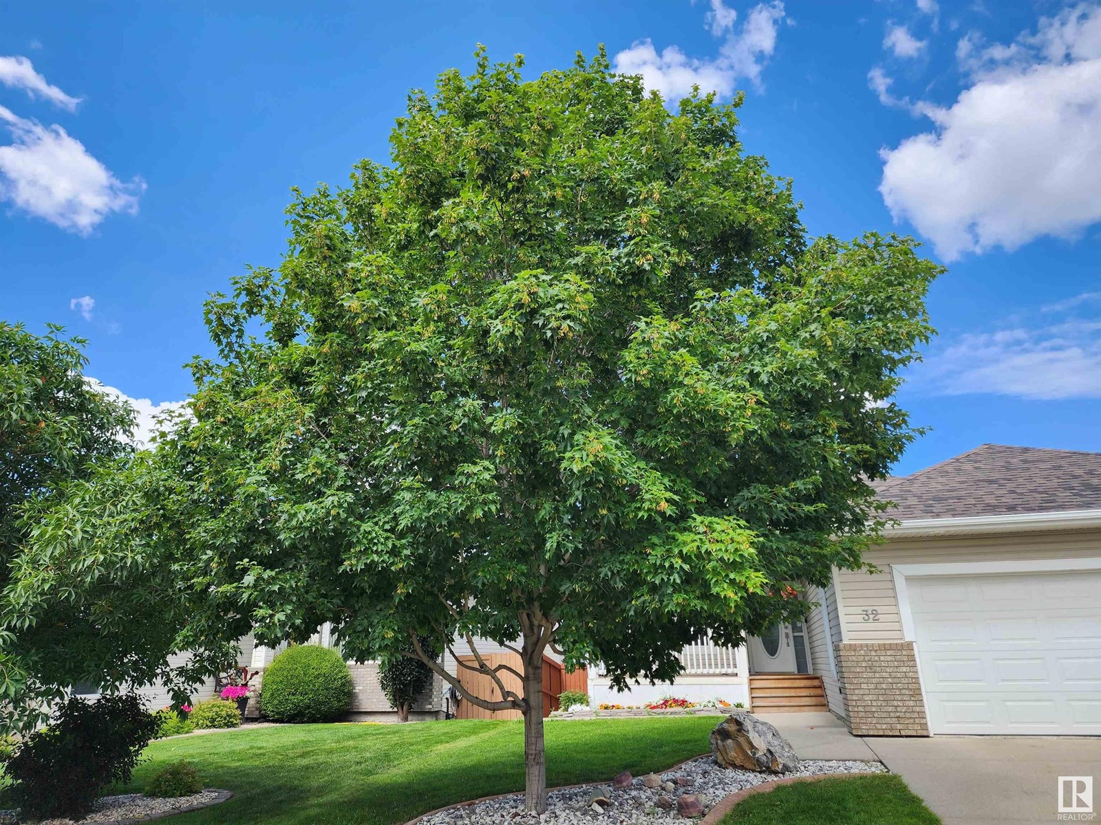 32 CHARLTON WY