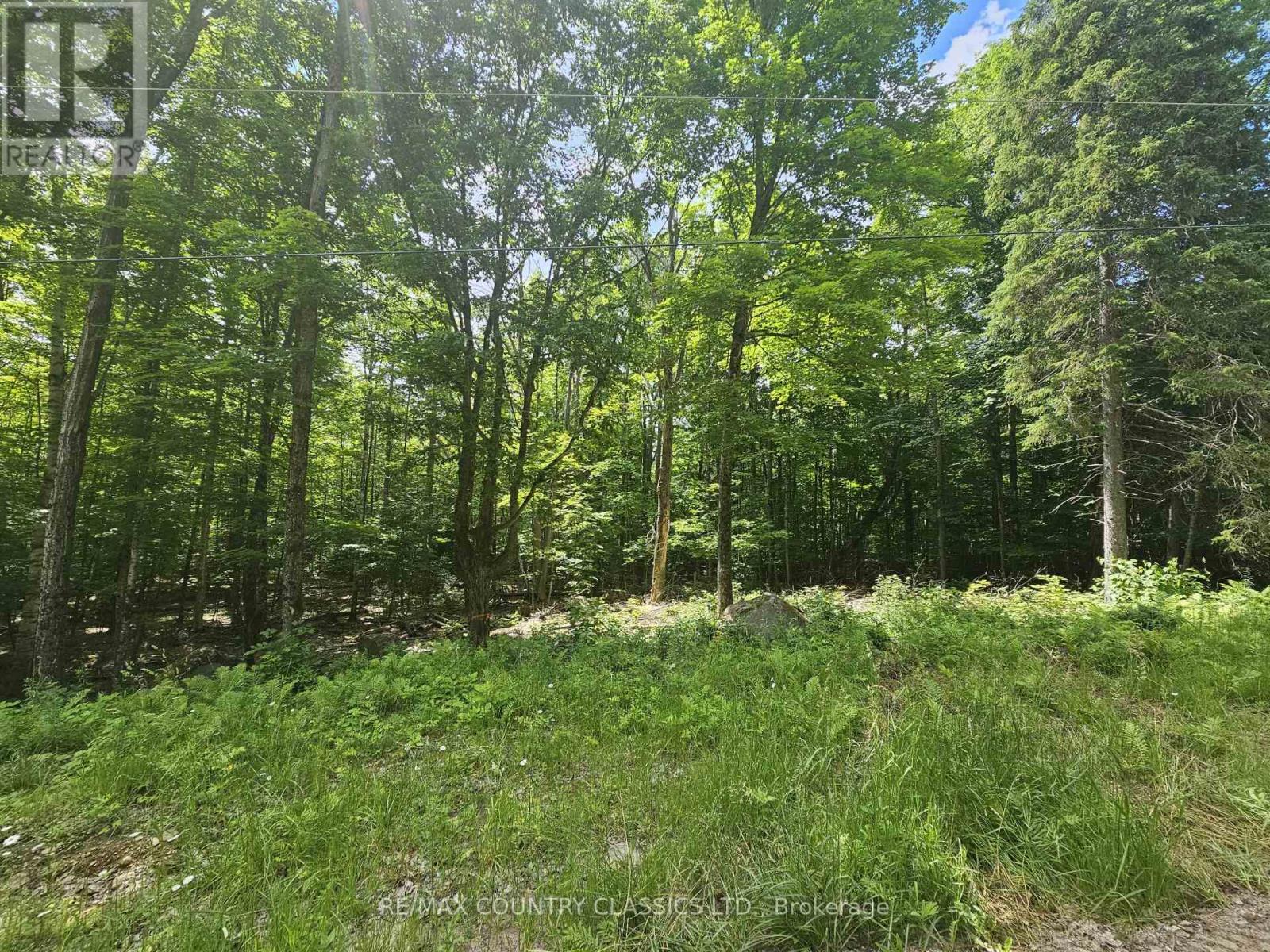 PT LT 22 O'GRADY SETTLEMENT ROAD