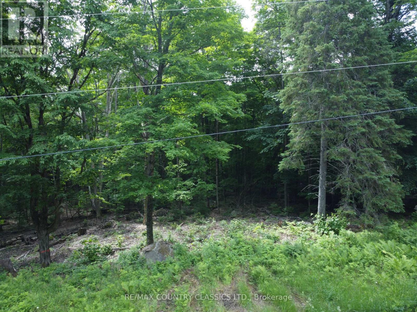 PT LT 22 O'GRADY SETTLEMENT ROAD