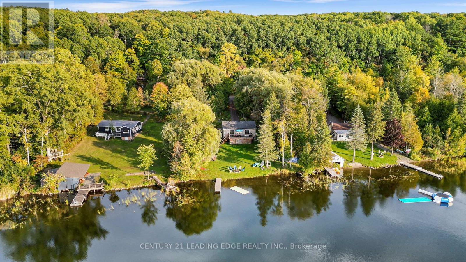 50 CEDAR LANE