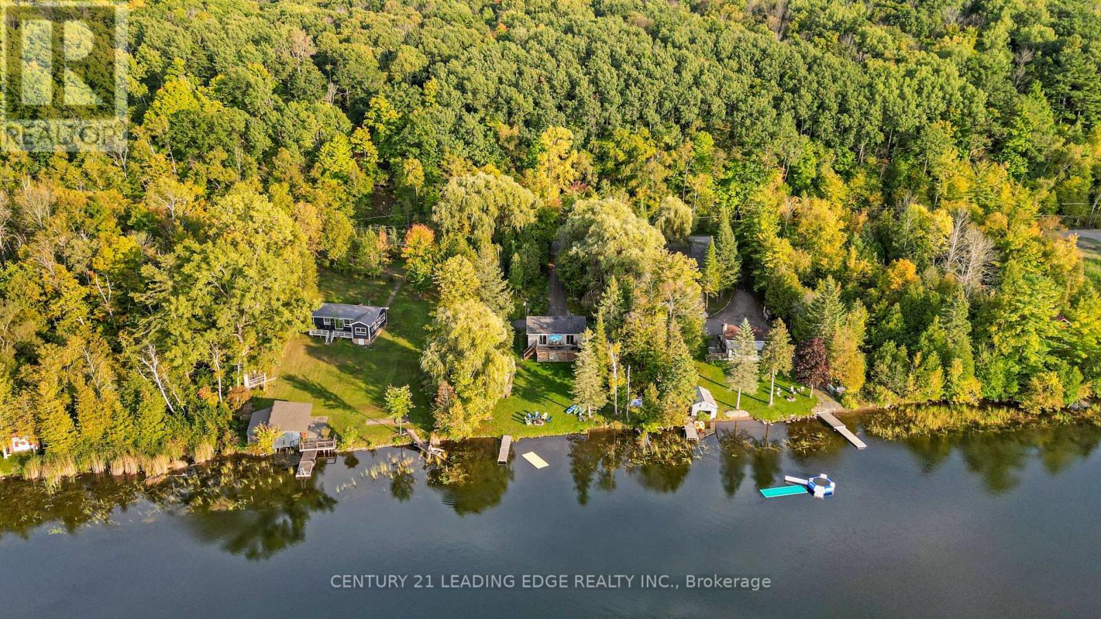 50 CEDAR LANE