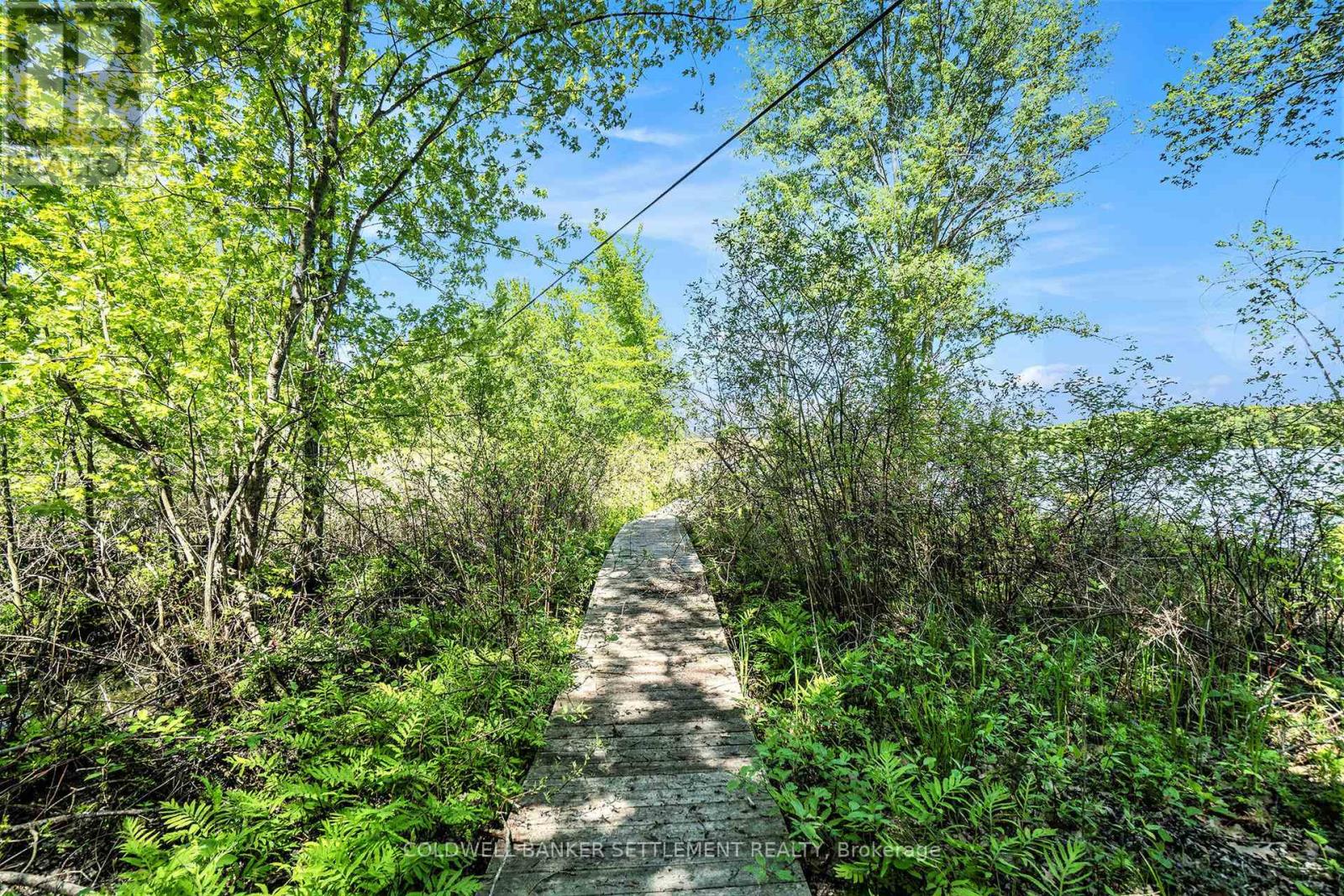 228 SUNDERLAND LANE