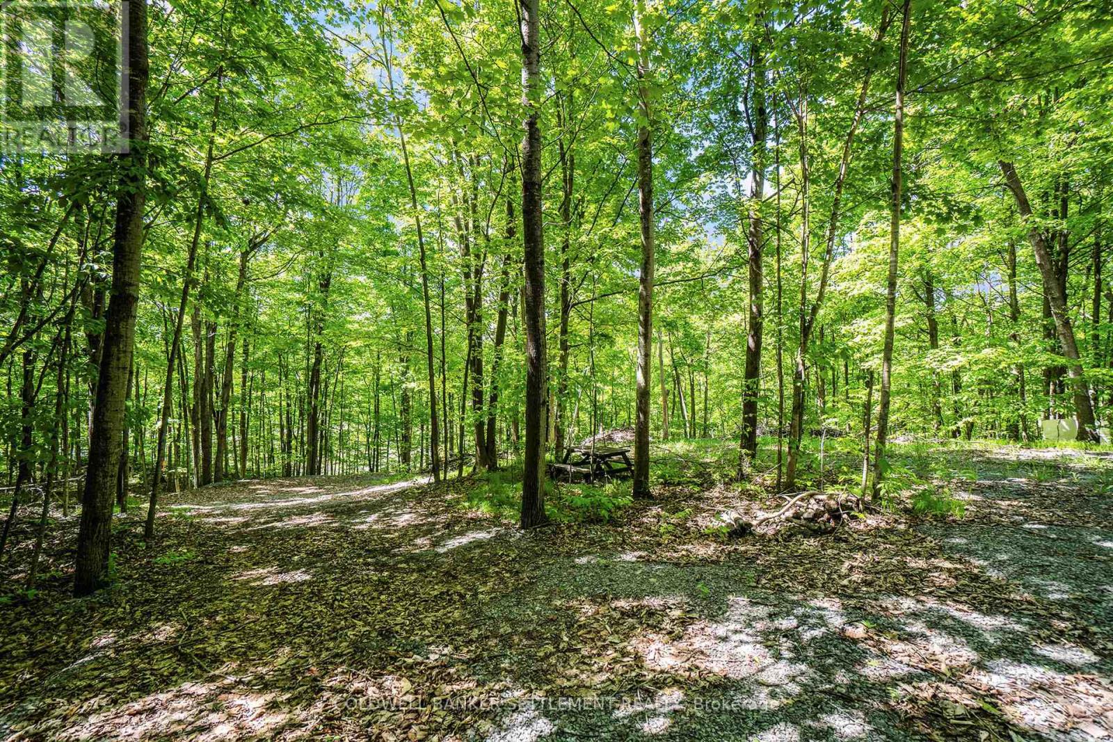 228 SUNDERLAND LANE