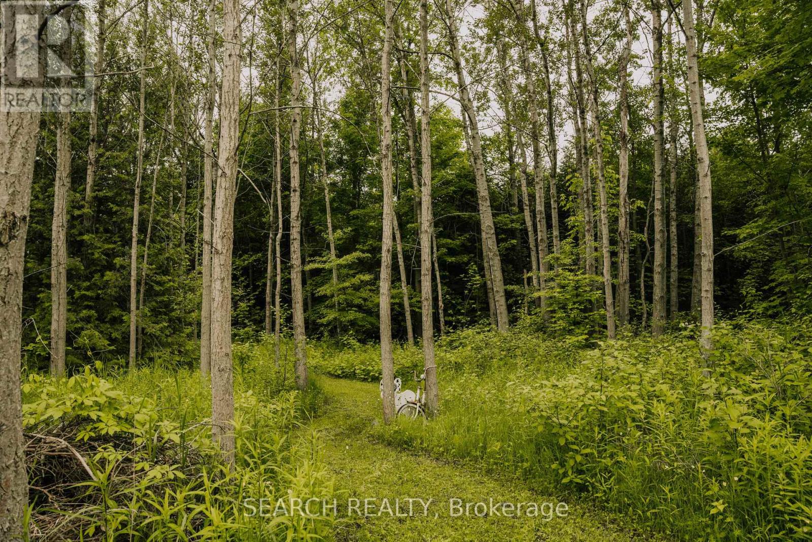 014104 BRUCE COUNTY ROAD 10 ROAD