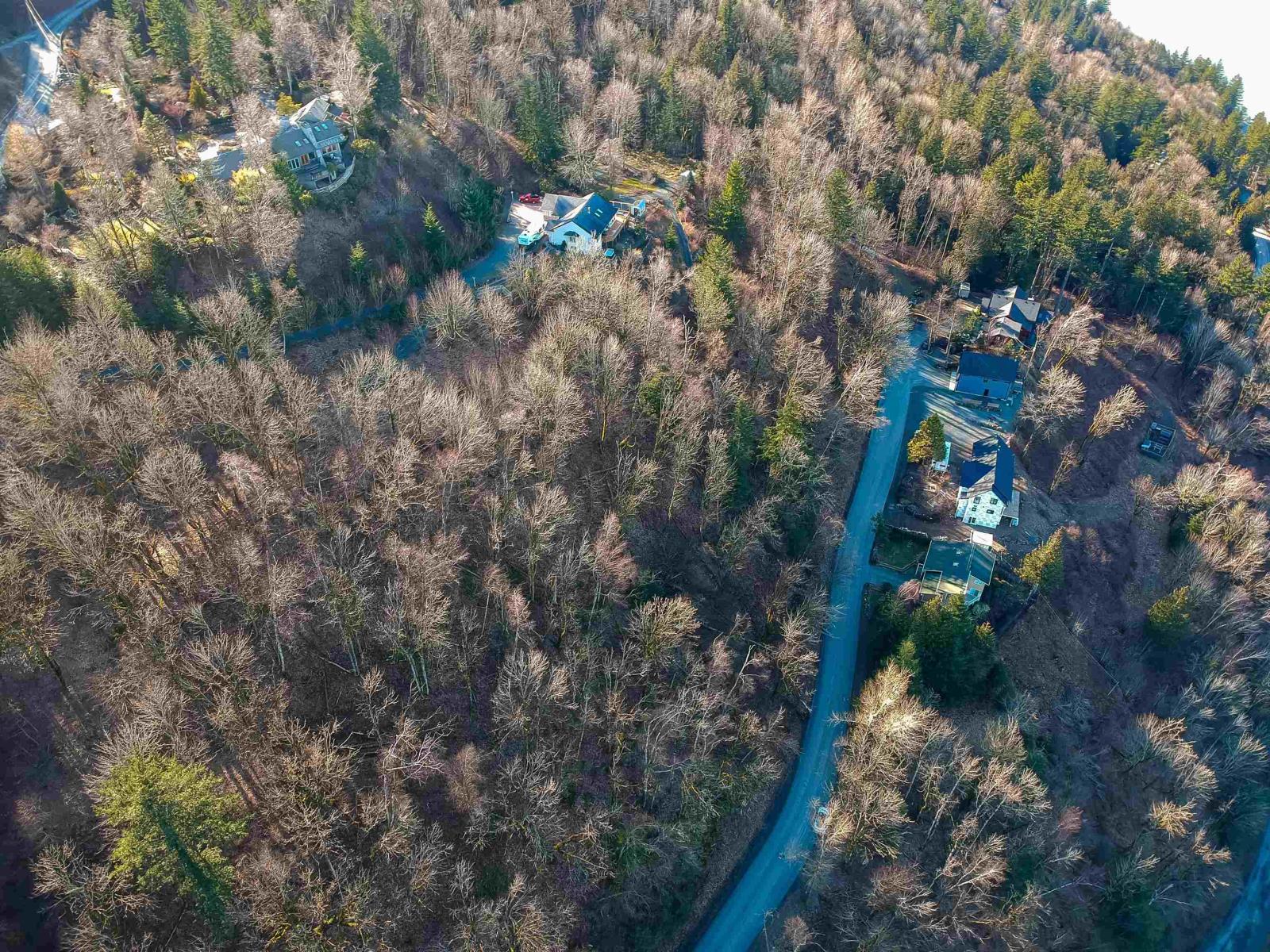 43207 SALMONBERRY DRIVE|Chilliwack Mountain