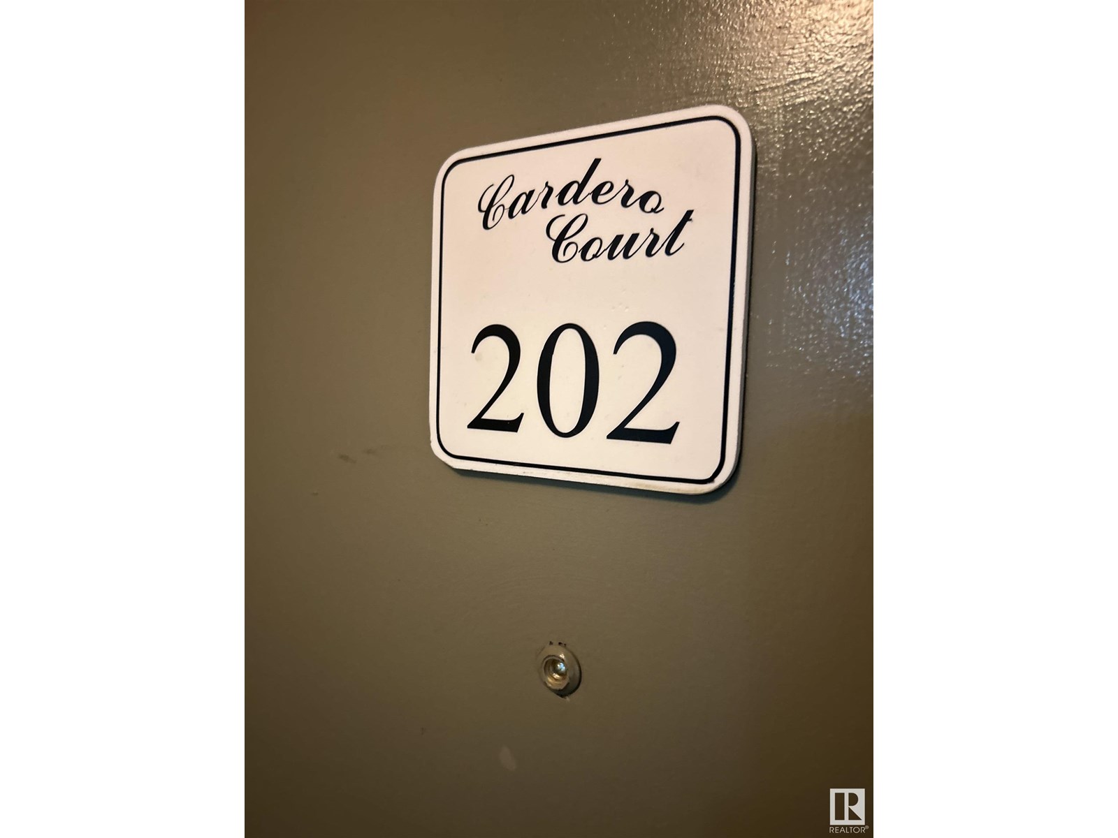 #202 10125 83 AV NW