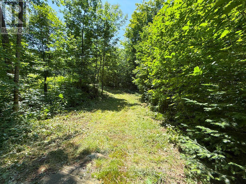 17 WHITE BEAVER TRAIL