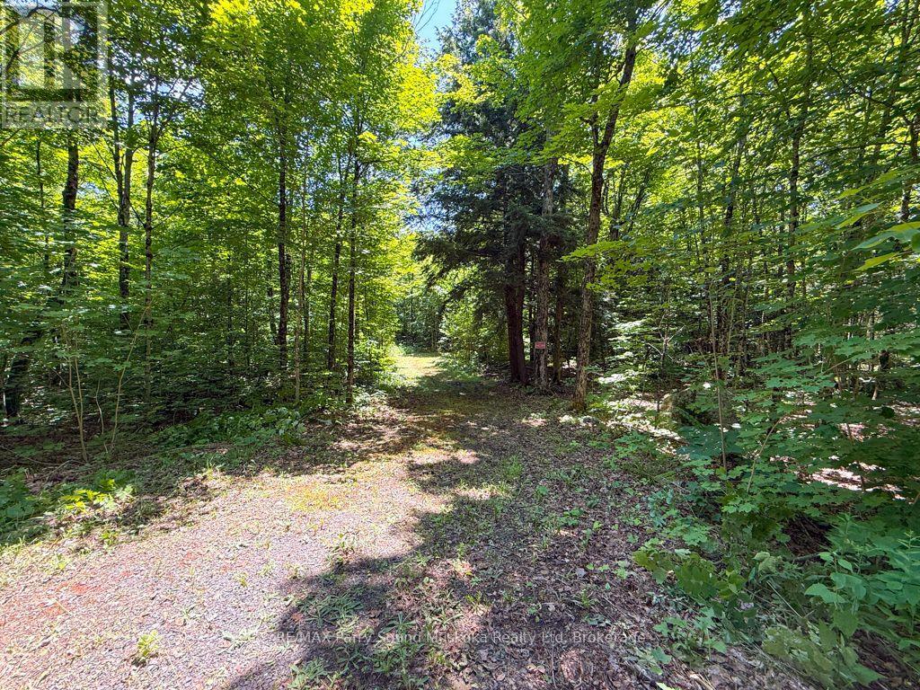 17 WHITE BEAVER TRAIL