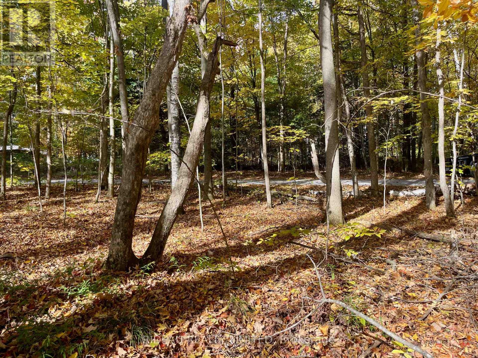 PT 38 CEDAR SANDS ROAD