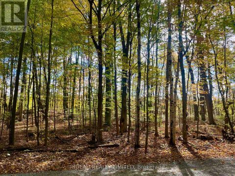 PT 38 CEDAR SANDS ROAD Rideau Lakes ON K0E1N0