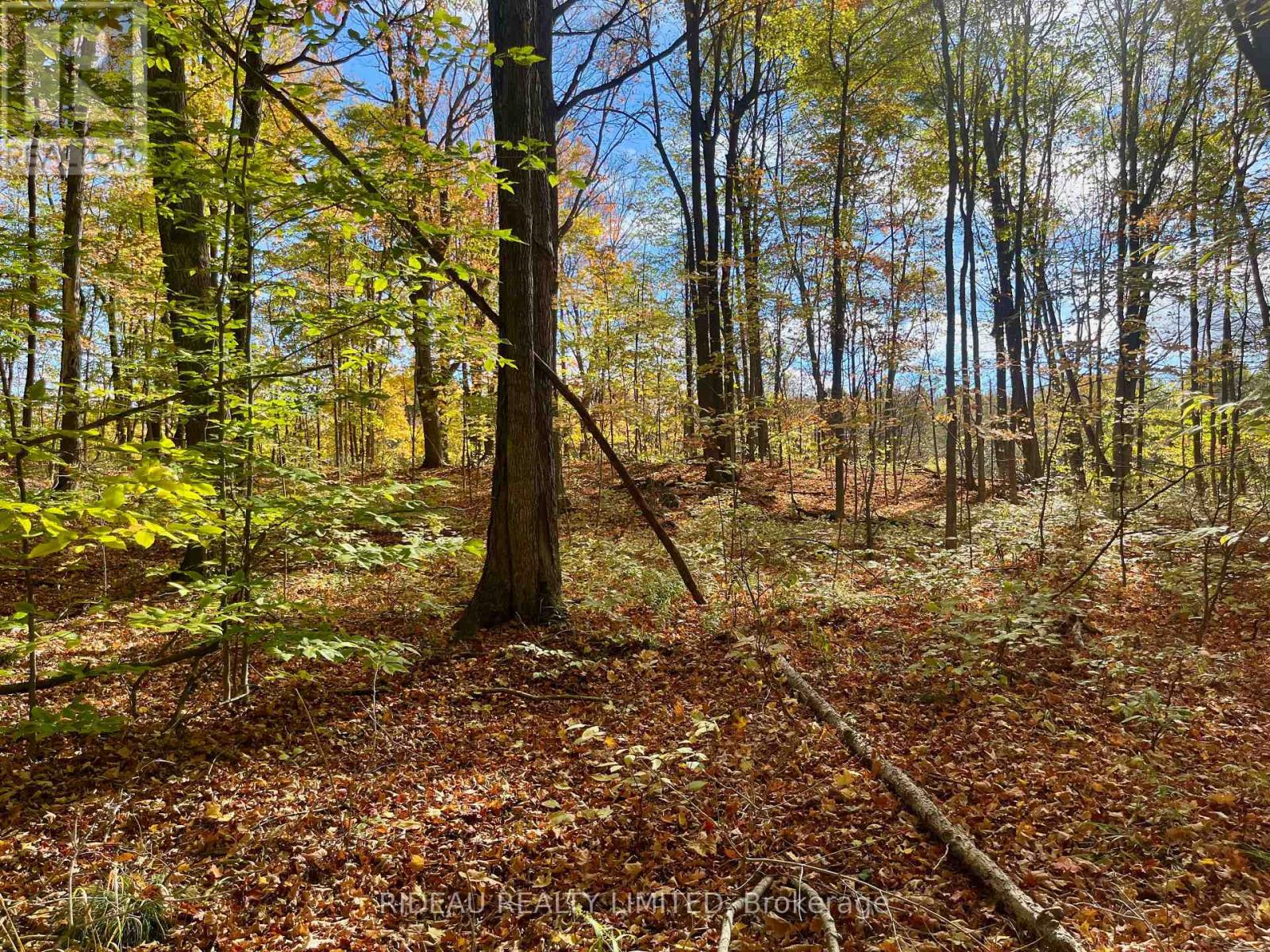 PT 38 CEDAR SANDS ROAD