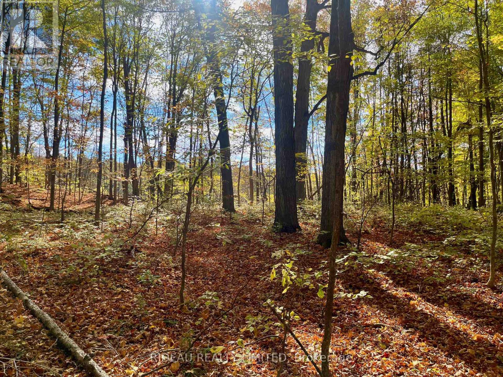 PT 38 CEDAR SANDS ROAD