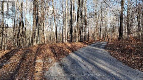 1098 TWIN SISTERS LAKE ROAD N Marmora and Lake (Marmora Ward) ON K0K2M0