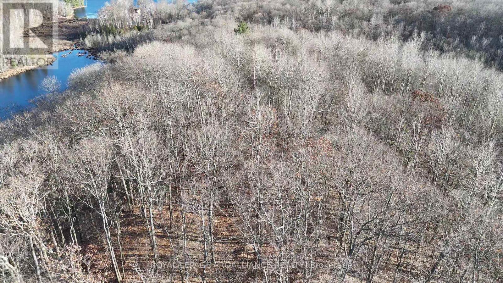 1098 TWIN SISTERS LAKE ROAD N