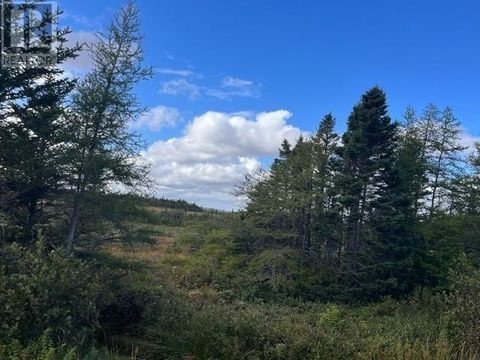 0 Main Road Markland NF A0B3K0
